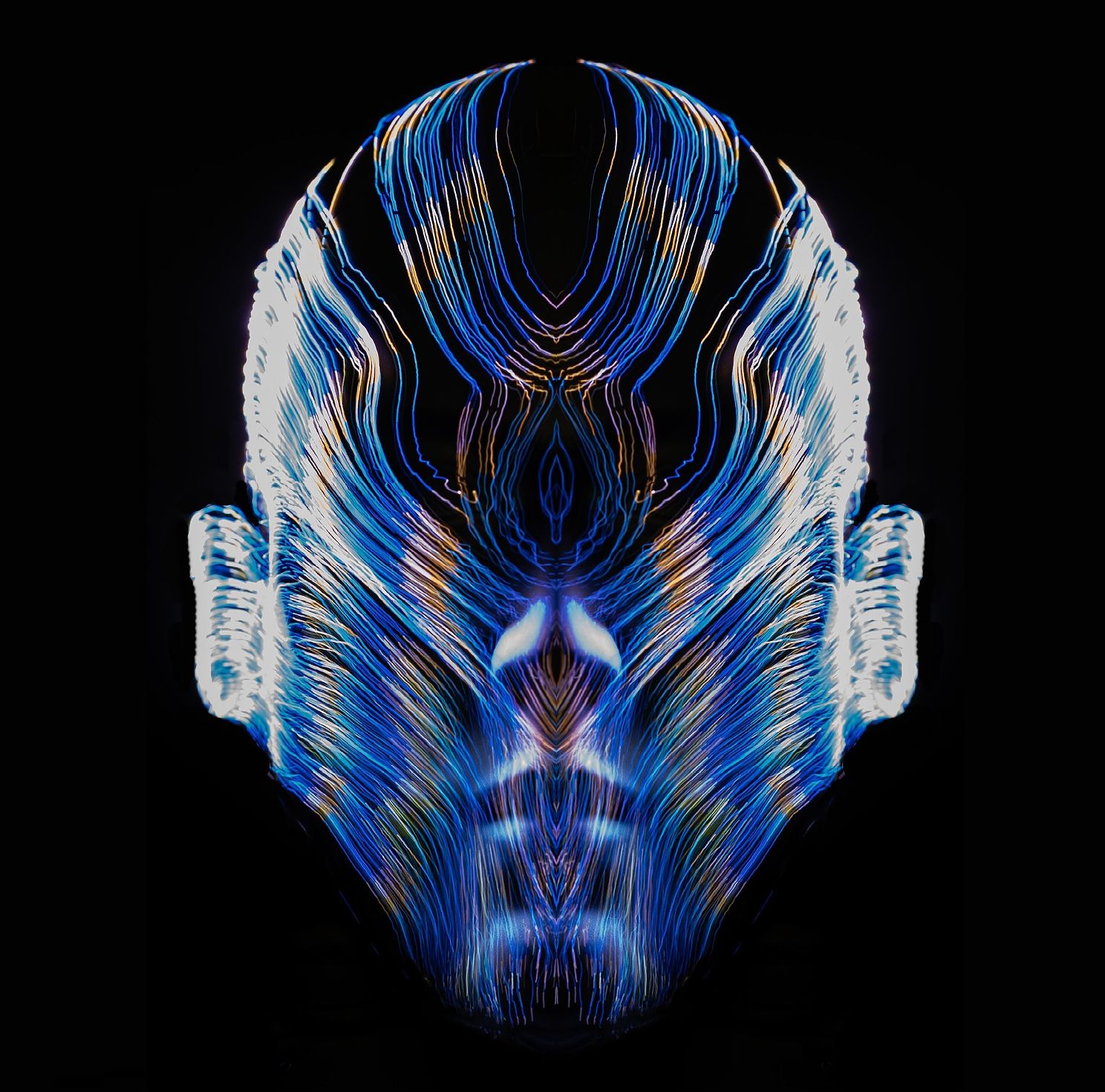 NeuralPathways-crop.jpg