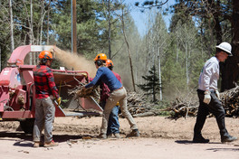 Using a wood chippier