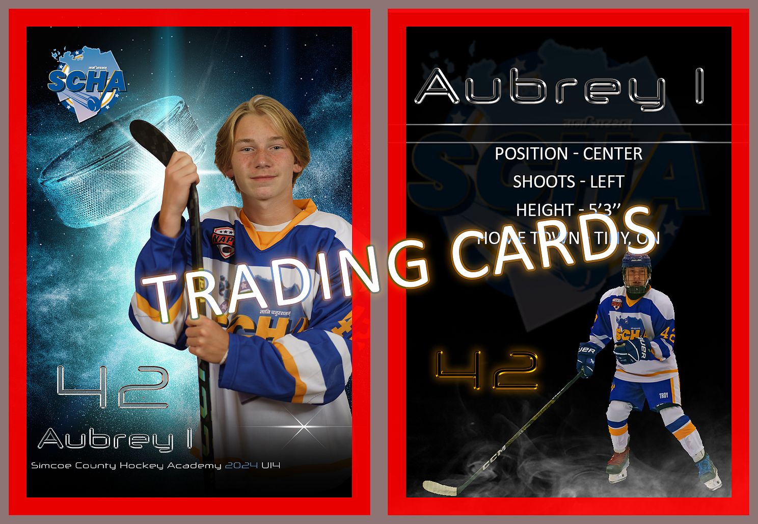 DoubleSidedTrader Aubrey Ijpg