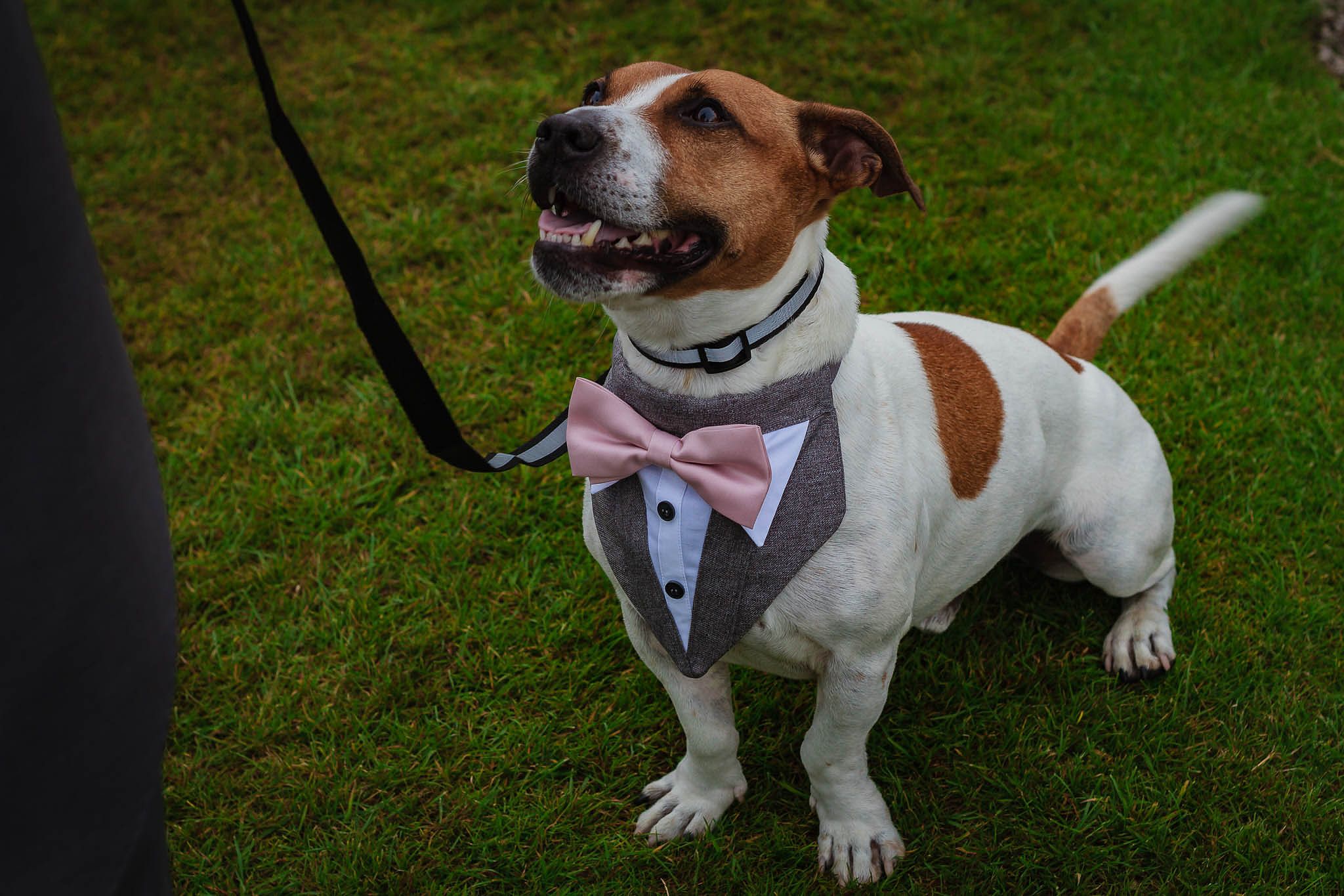 Eaves Hall Wedding Photographerjpg