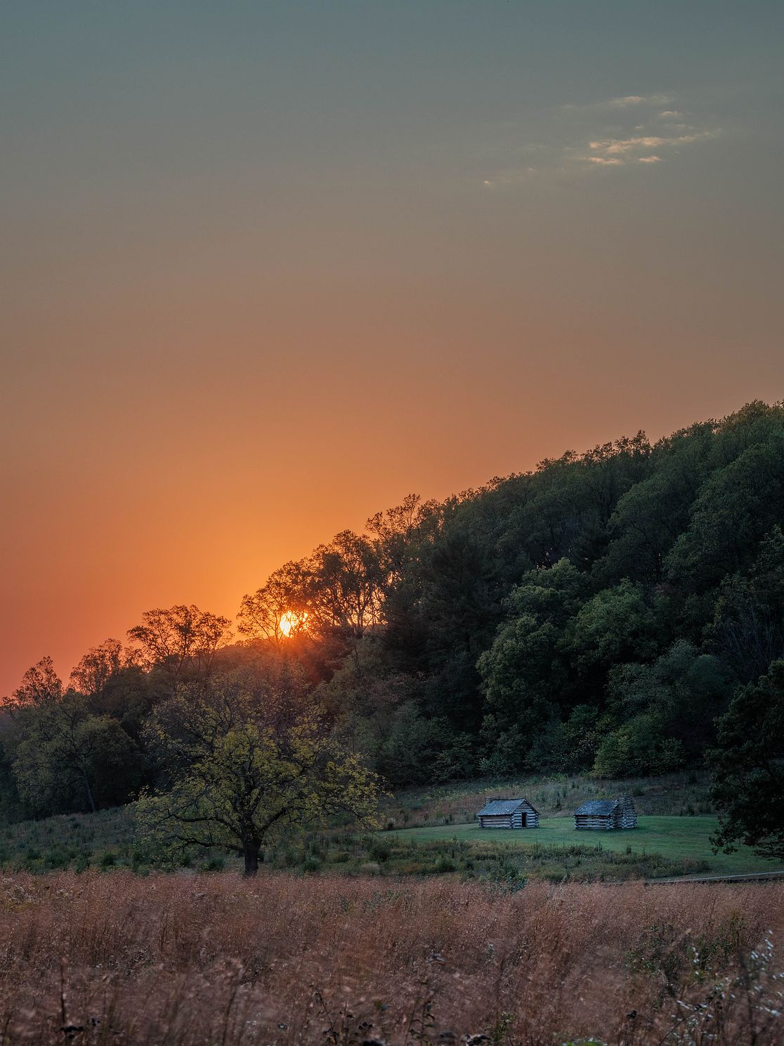 Z81_2735-HDR.jpg