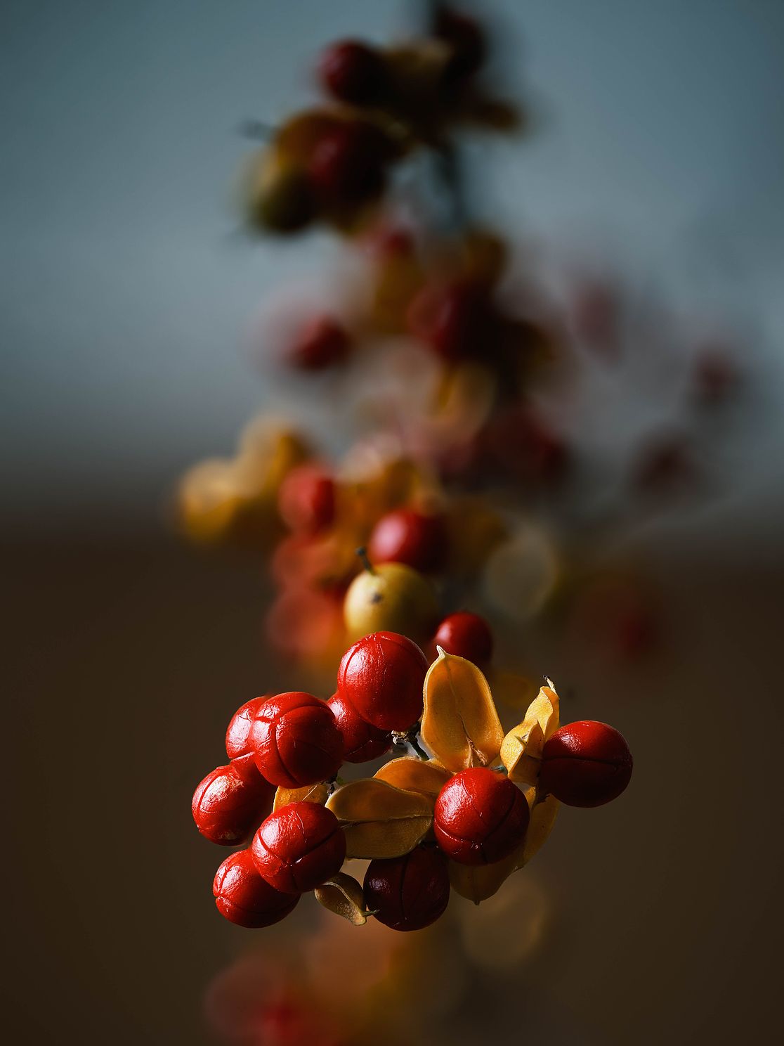 berries.jpg