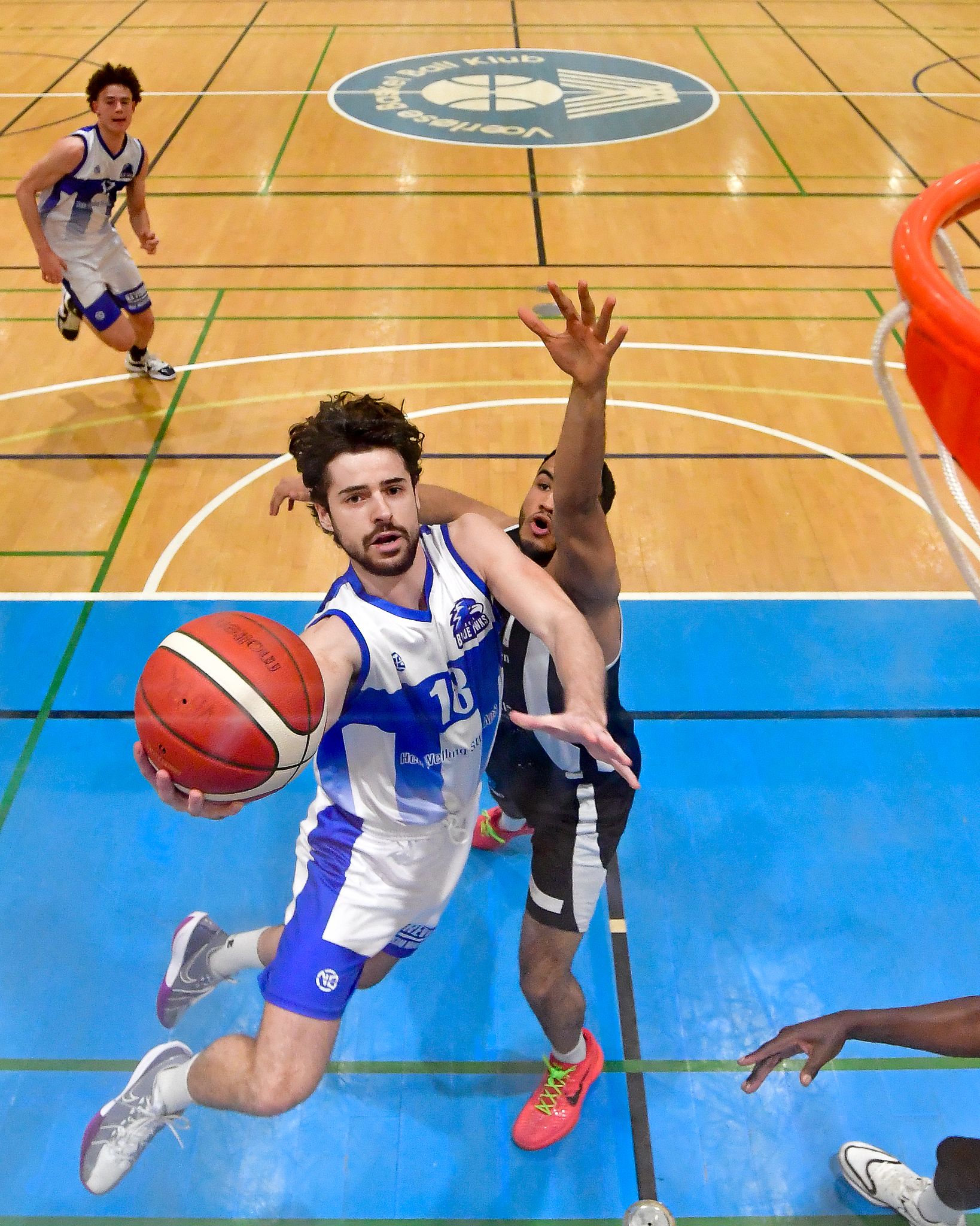 Basketligaen Blue Hawks vs Bears 