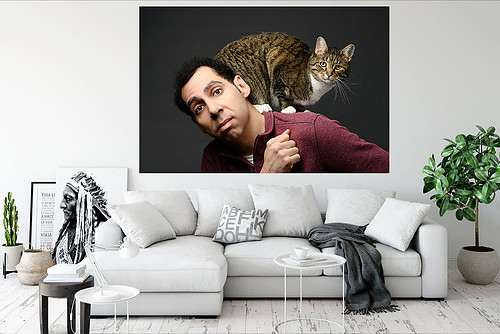 Professional pet photography by Mara Robinson Akron OH animal po