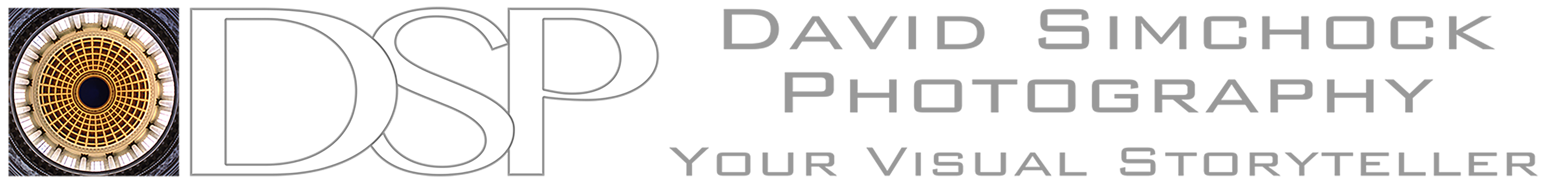 _DSP-logo-light-gray-400px-high.png