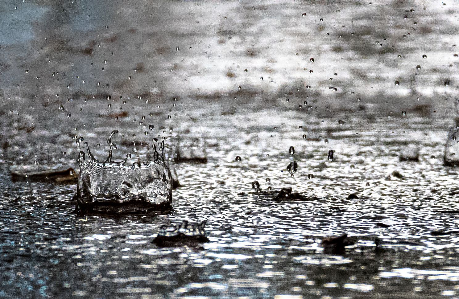 raindrops01.jpg