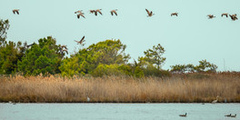 _DSC5731-Edit.jpg