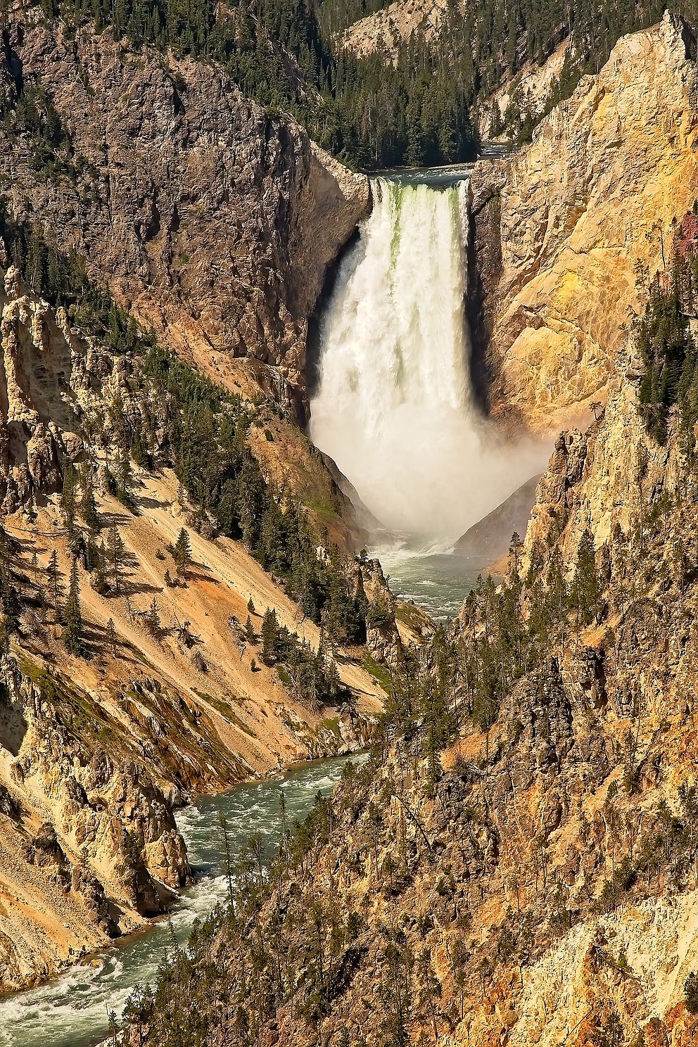 Lower Yellowstone Falls