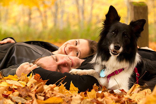 Engagement Photos