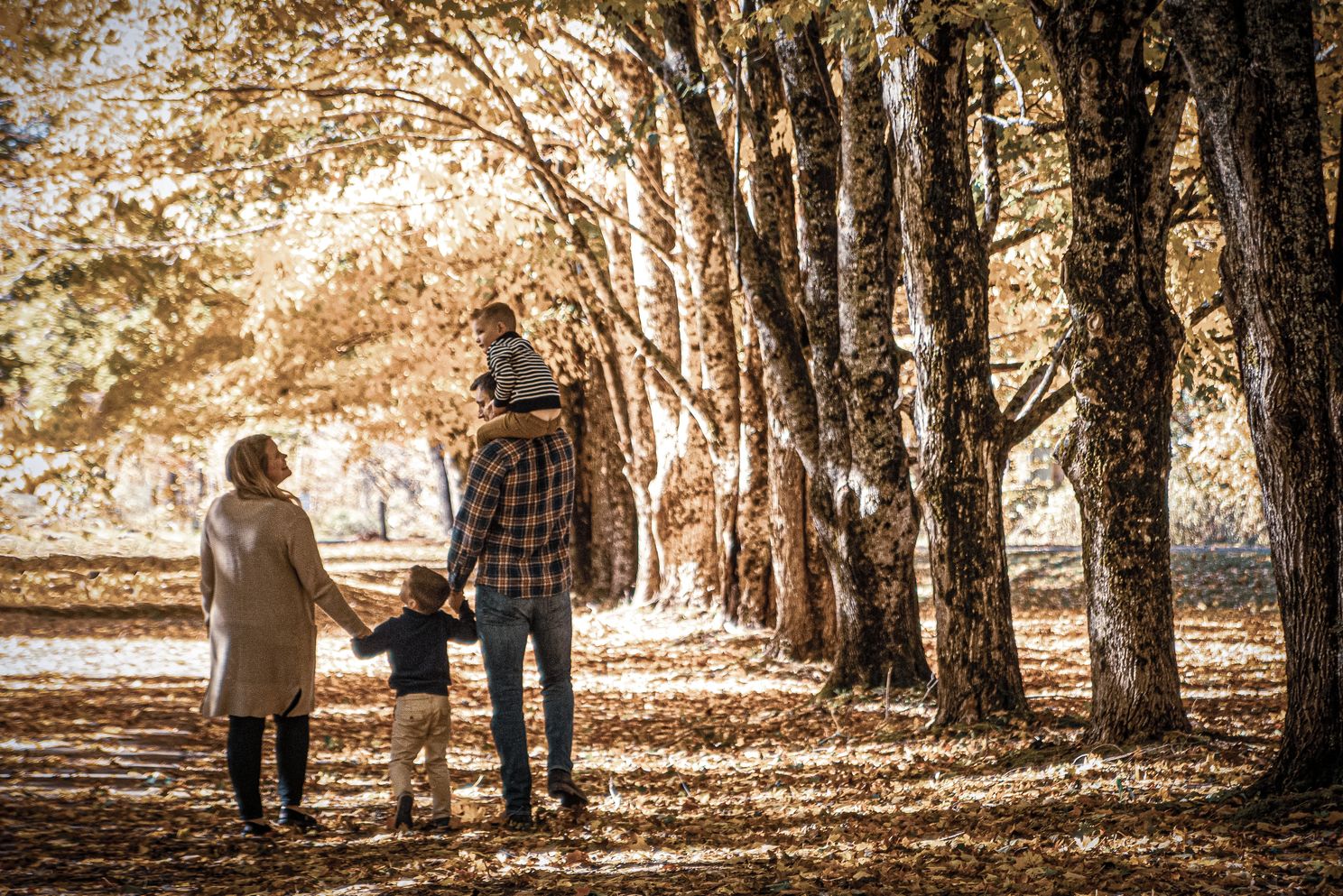 Father, mother, and kids walking treed path