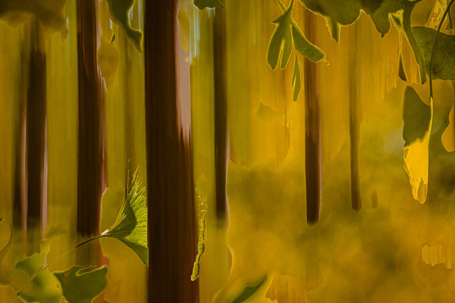 InTheGrove-Blog.jpg