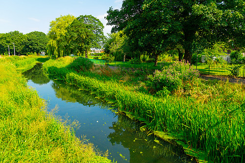 Duke of York Gardens-157.jpg
