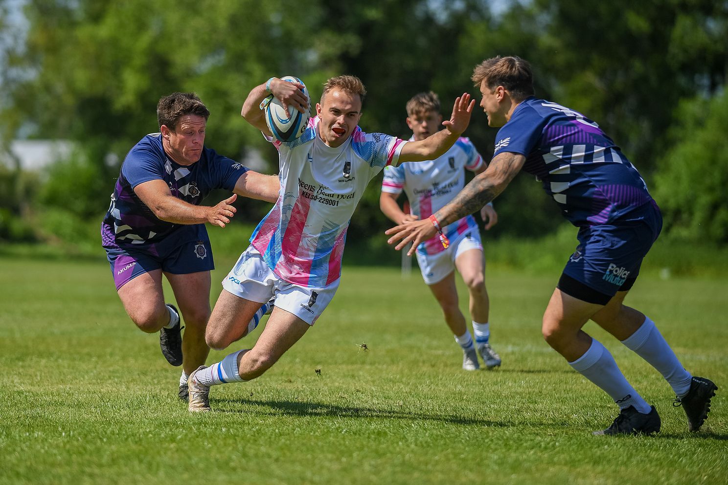 Alex Williamson Photography - Rugby