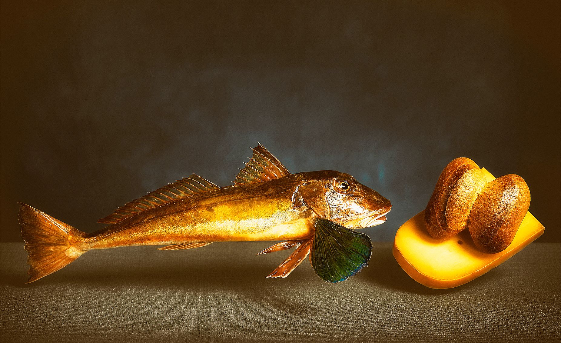 introjpg