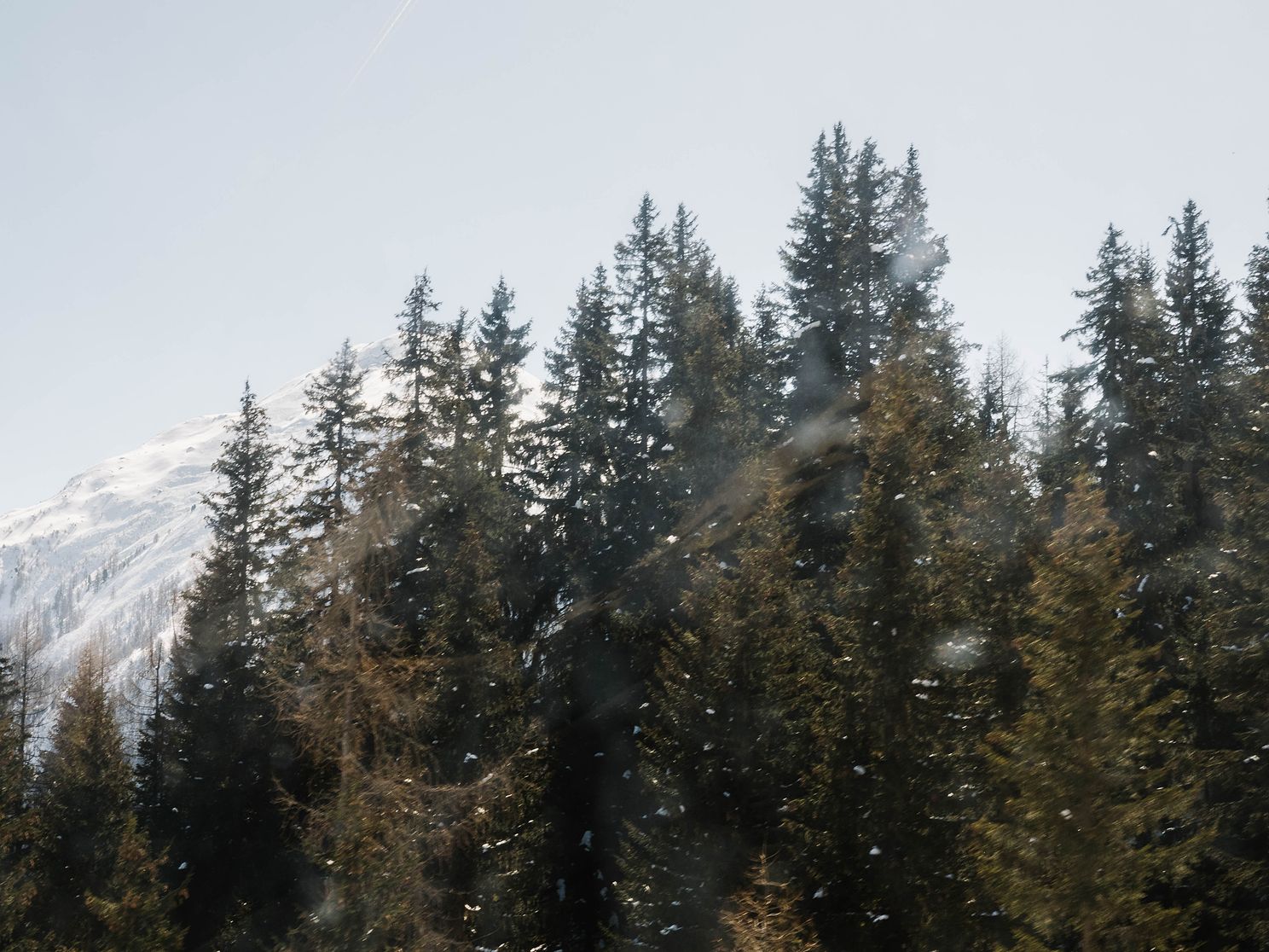 PaulCutinelliSwitzerland