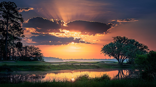 "First Light" - Colleton River