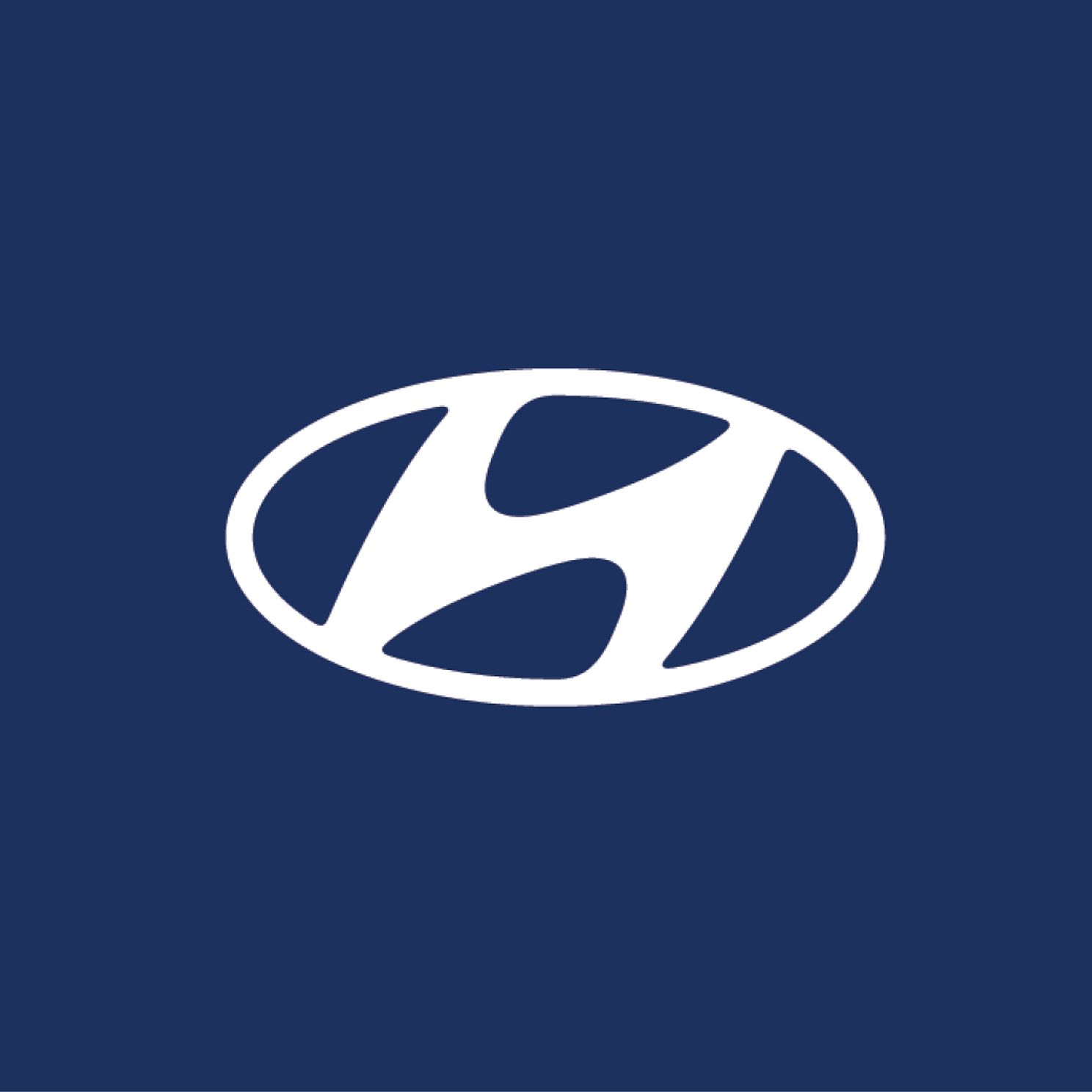 hyundai social logojpg