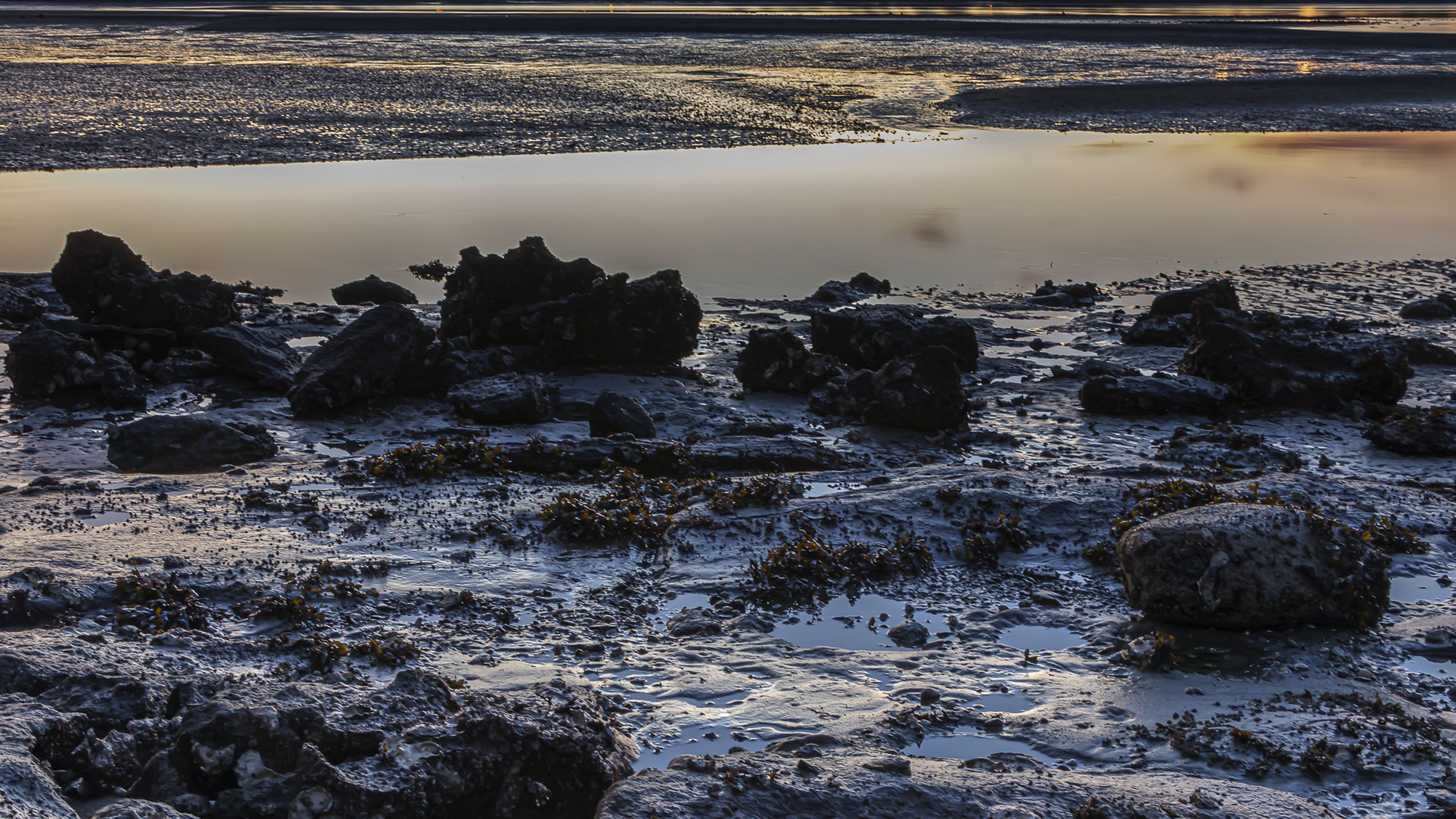 0453_8.0sec_f-11 ISO100_35mm_F-3.5-5.6_18-135mm.jpg