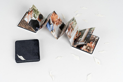accordion-01.jpg