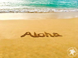 Aloha 1-Edit.jpg