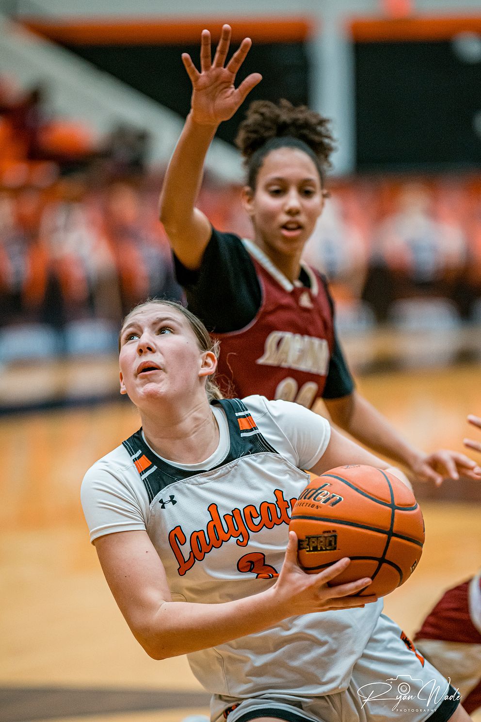  Ladycat basketballjpg