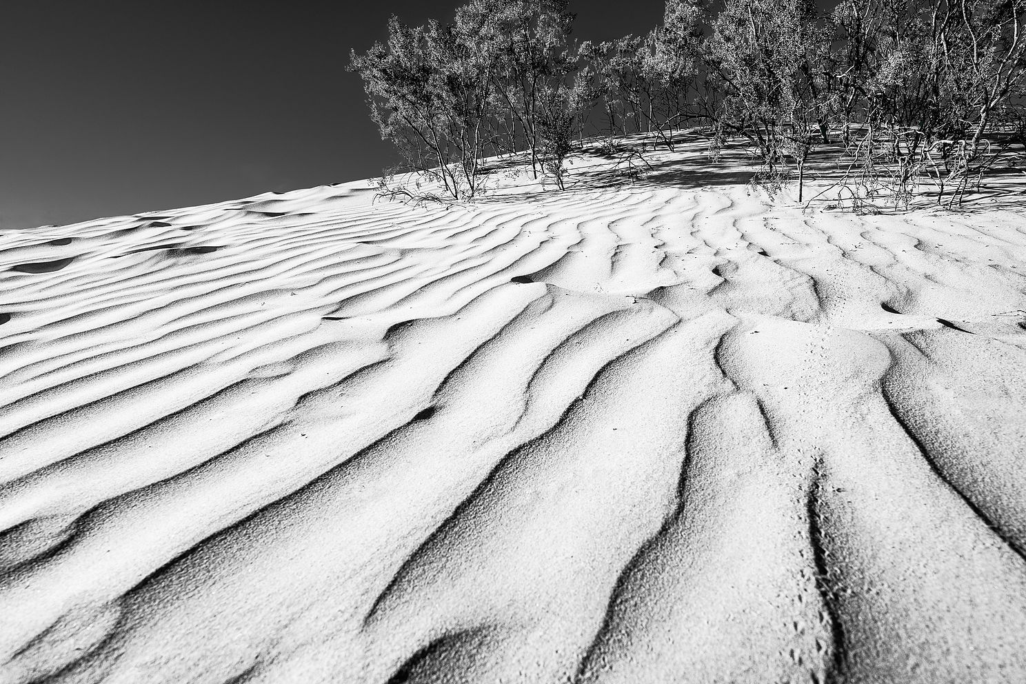 DSC_1037-Edit-Edit-3.jpg
