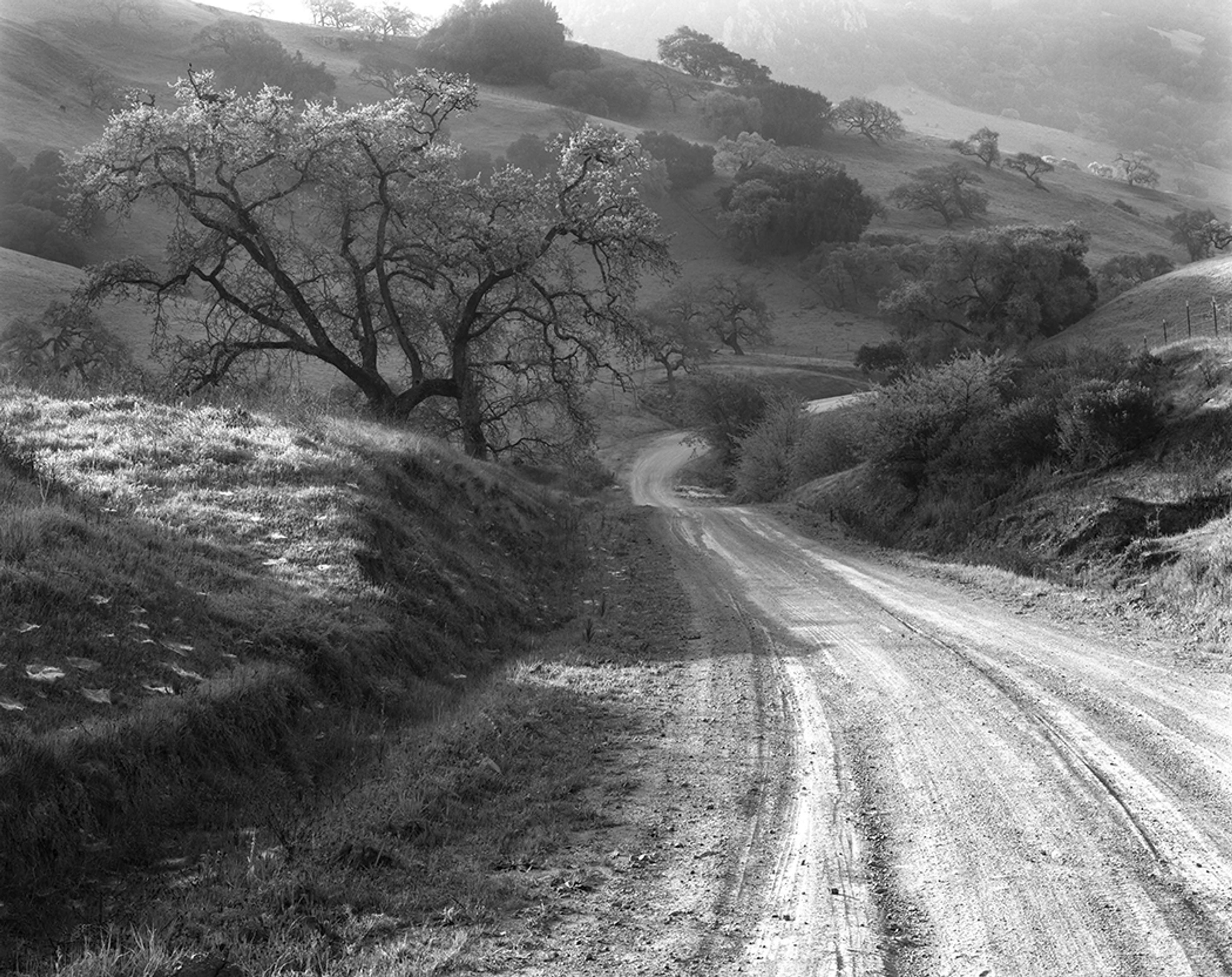 The Road Home work copy.jpg
