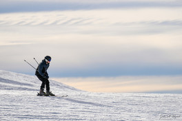 Skier