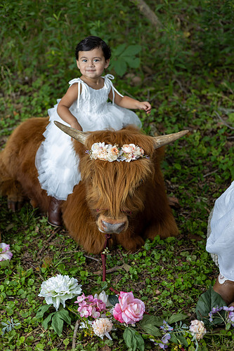 1B3A7697-Enhanced-NR.jpg