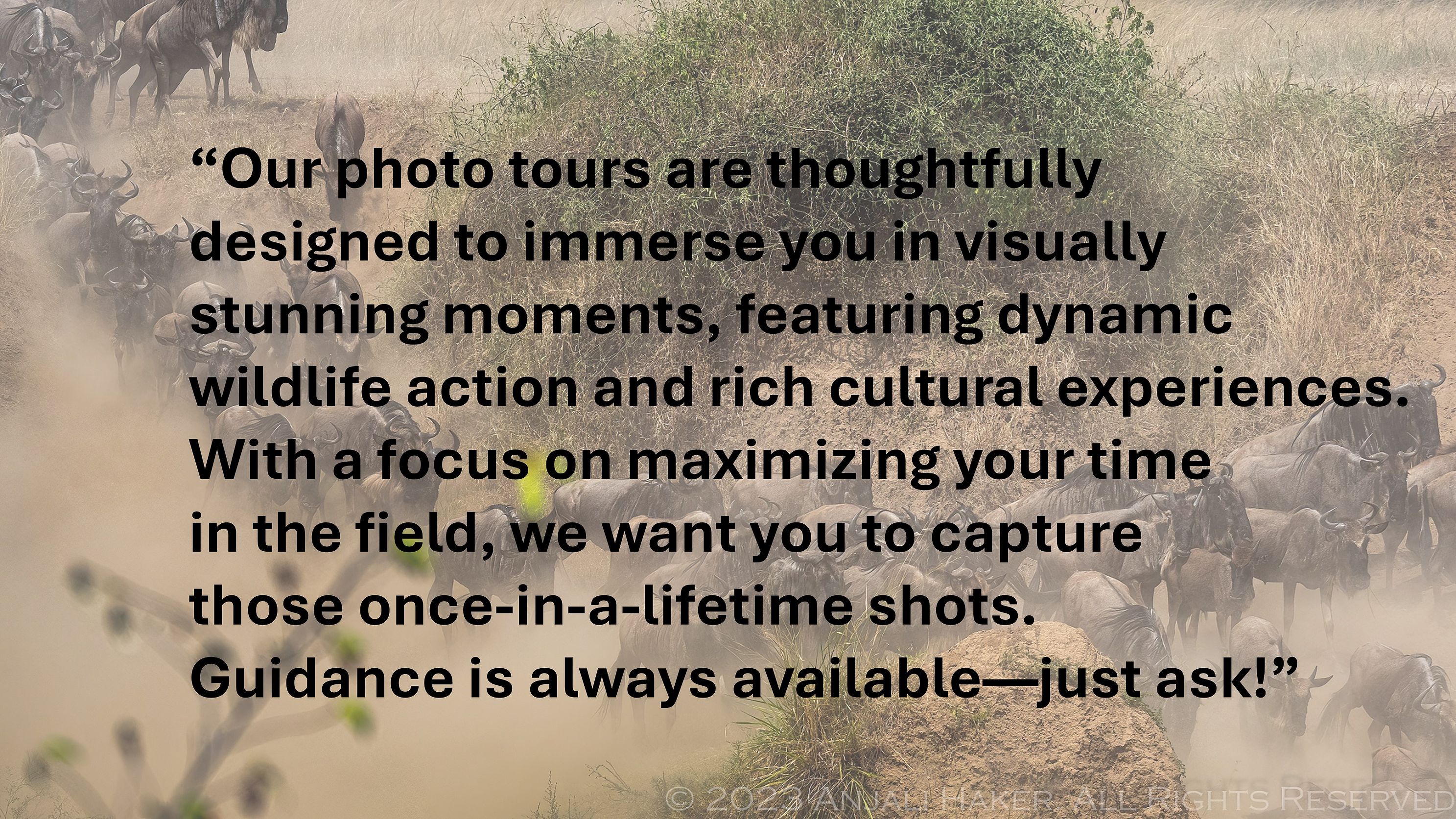 Why Travel with us! -2.jpg