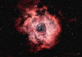 Caldwell forty nine Rosette Nebula