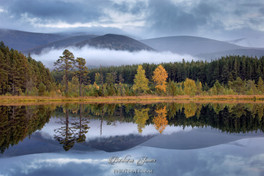 Glen Feshie Lochan Uamh Mists Cairngorms NP