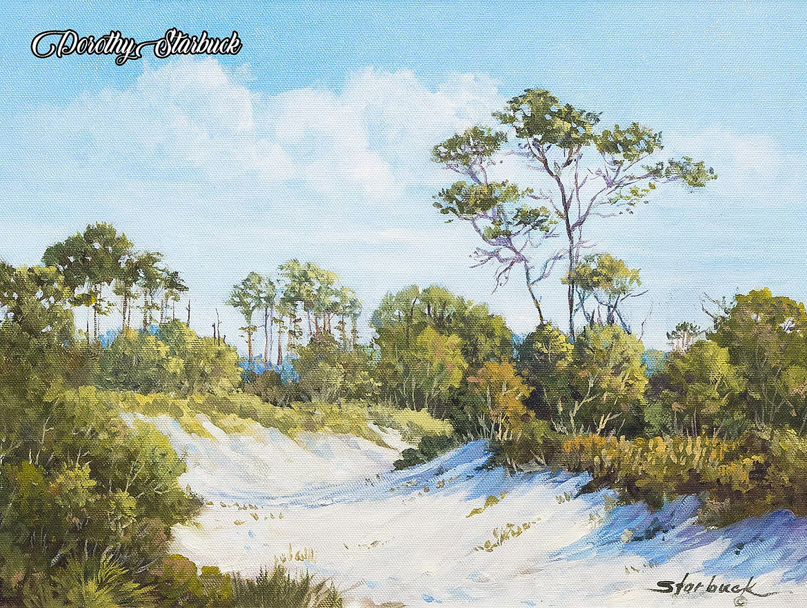 Shark Valley 16x20 logo.jpg