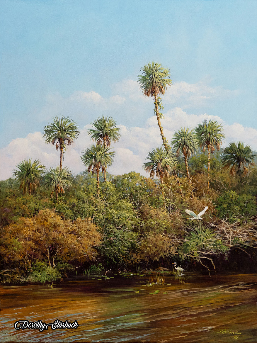 Starbuck Dorothy Loxahatchee Palms II