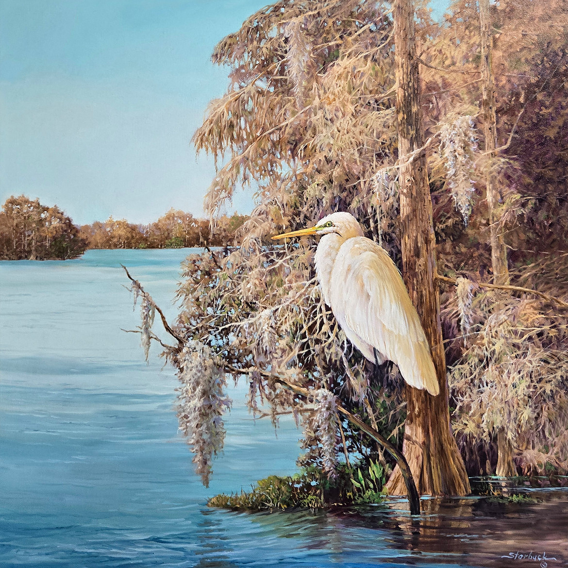 Heron in The Cypress Tree