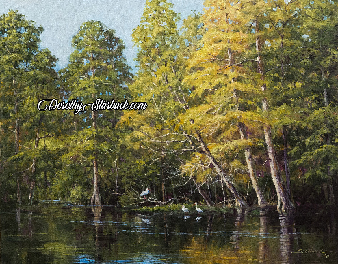 Ibis on the Silver River on canvas, 16x20WEB.jpg