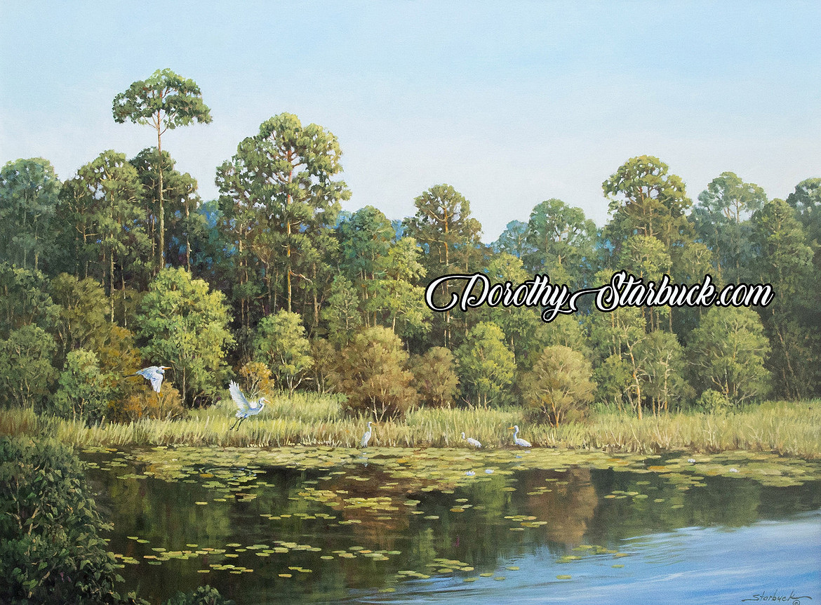 Egrets Pond Reflections on canvas, 30x40 framedWEB.jpg
