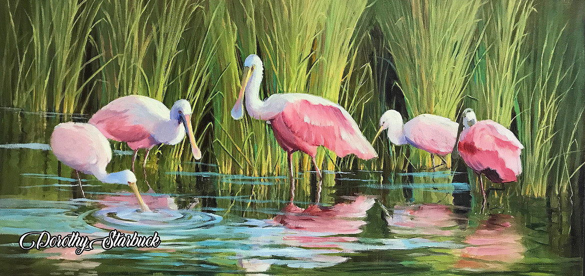 RoseateSpoonbills Starbucklogo.jpg
