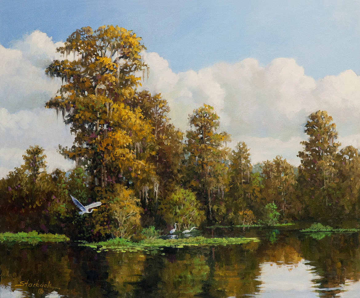 StarbuckWithlacoochee RiverR.jpg