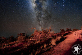 Milky Way over Mauna Kea 1.jpg