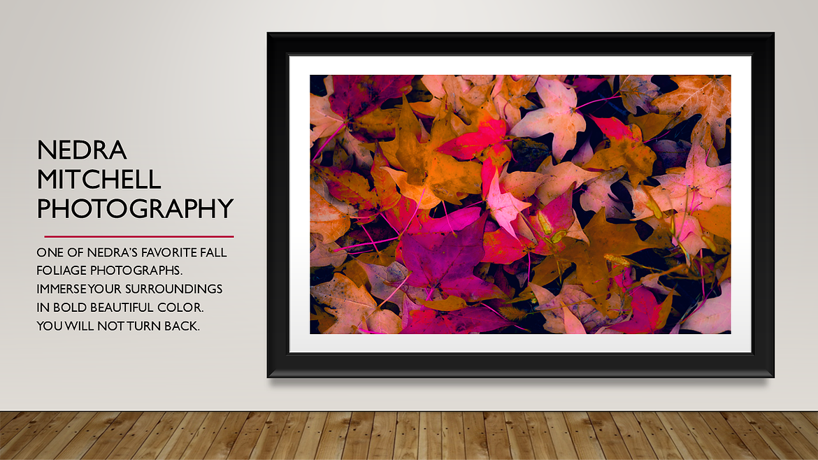 Lenexa Fall Foliage Feb  png