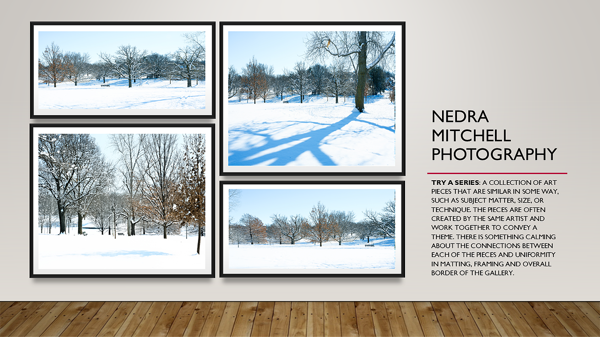 Wichita Snow Landscape Feb  png