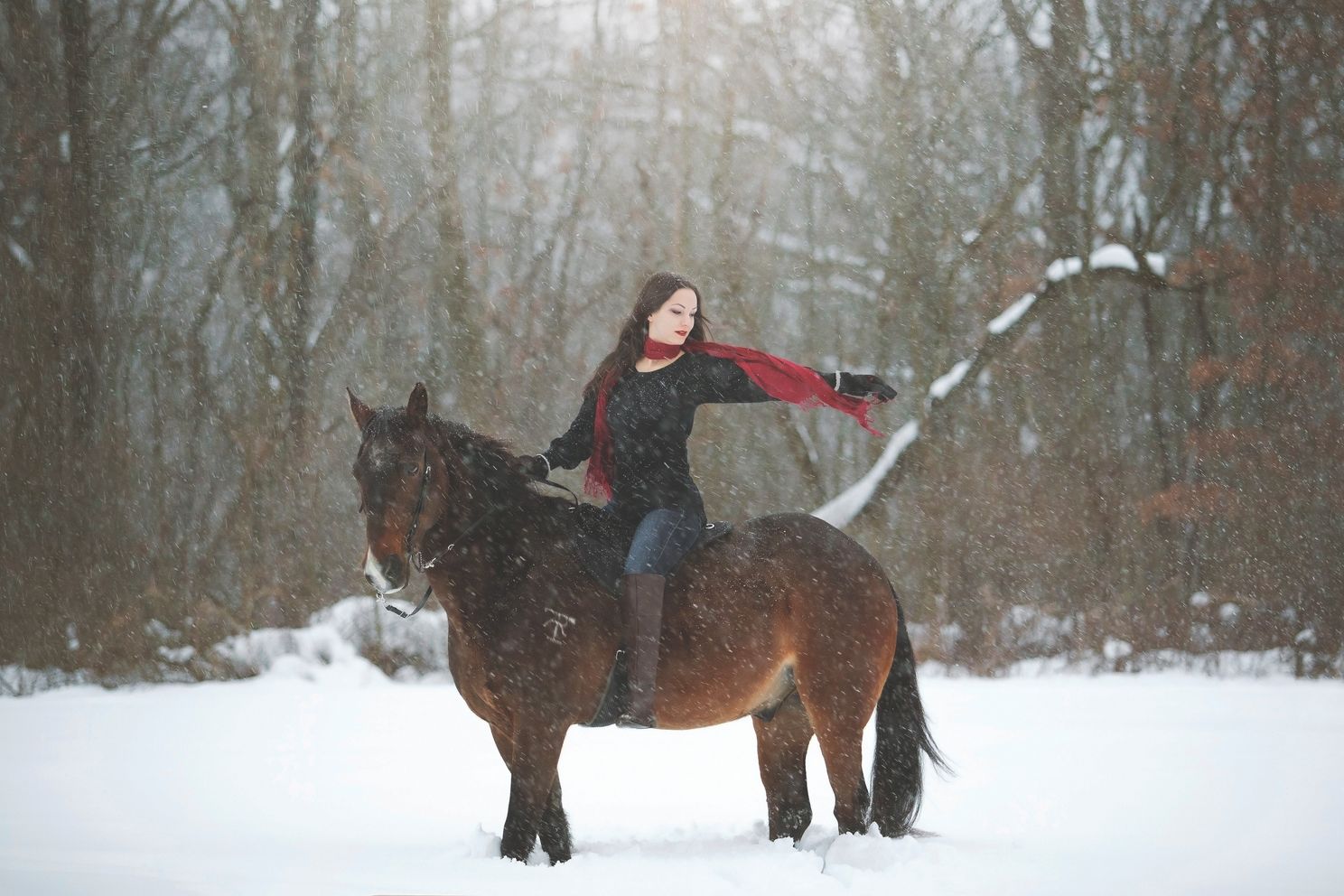 horse-and-woman-in-snow.jpg 1