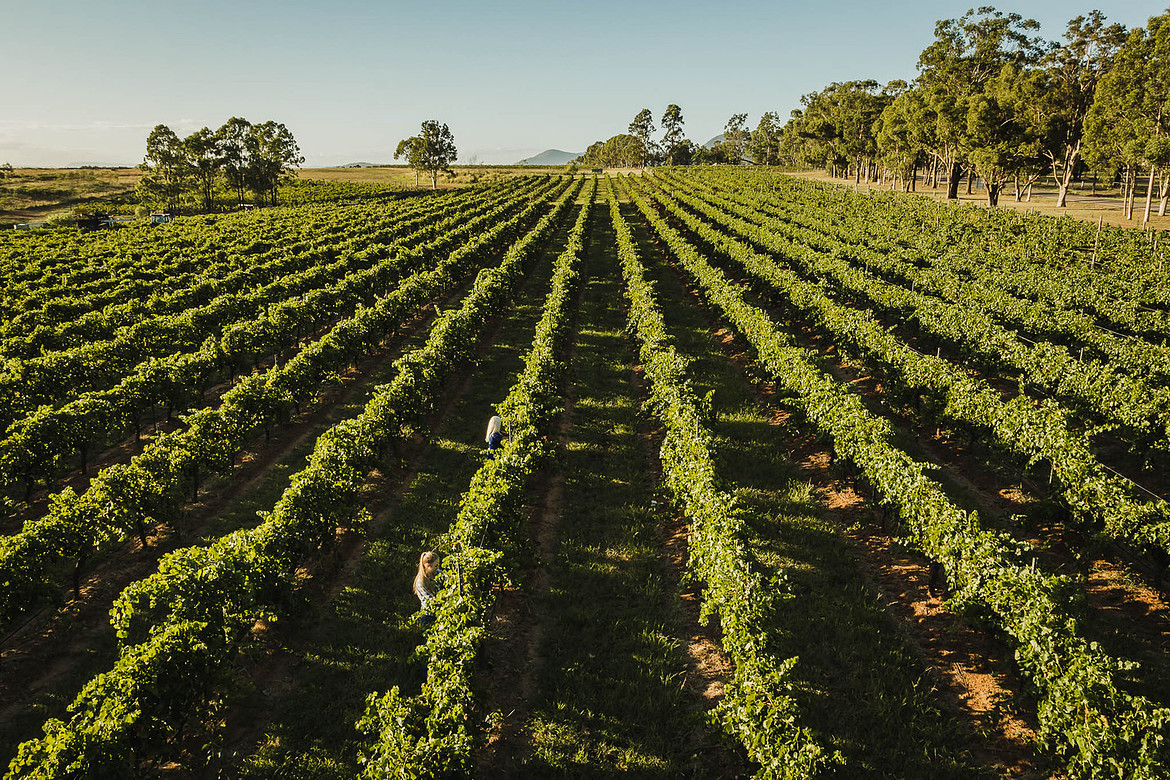 Corporate brand photography in the Hunter Valley, Newcastle and Sydney Areas.