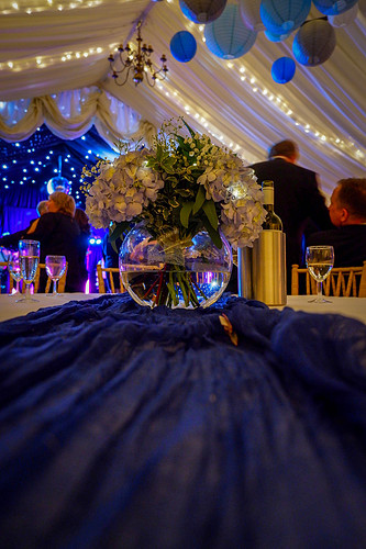 Spotlight Ball, Photo by David Swainsbury-0748.jpg
