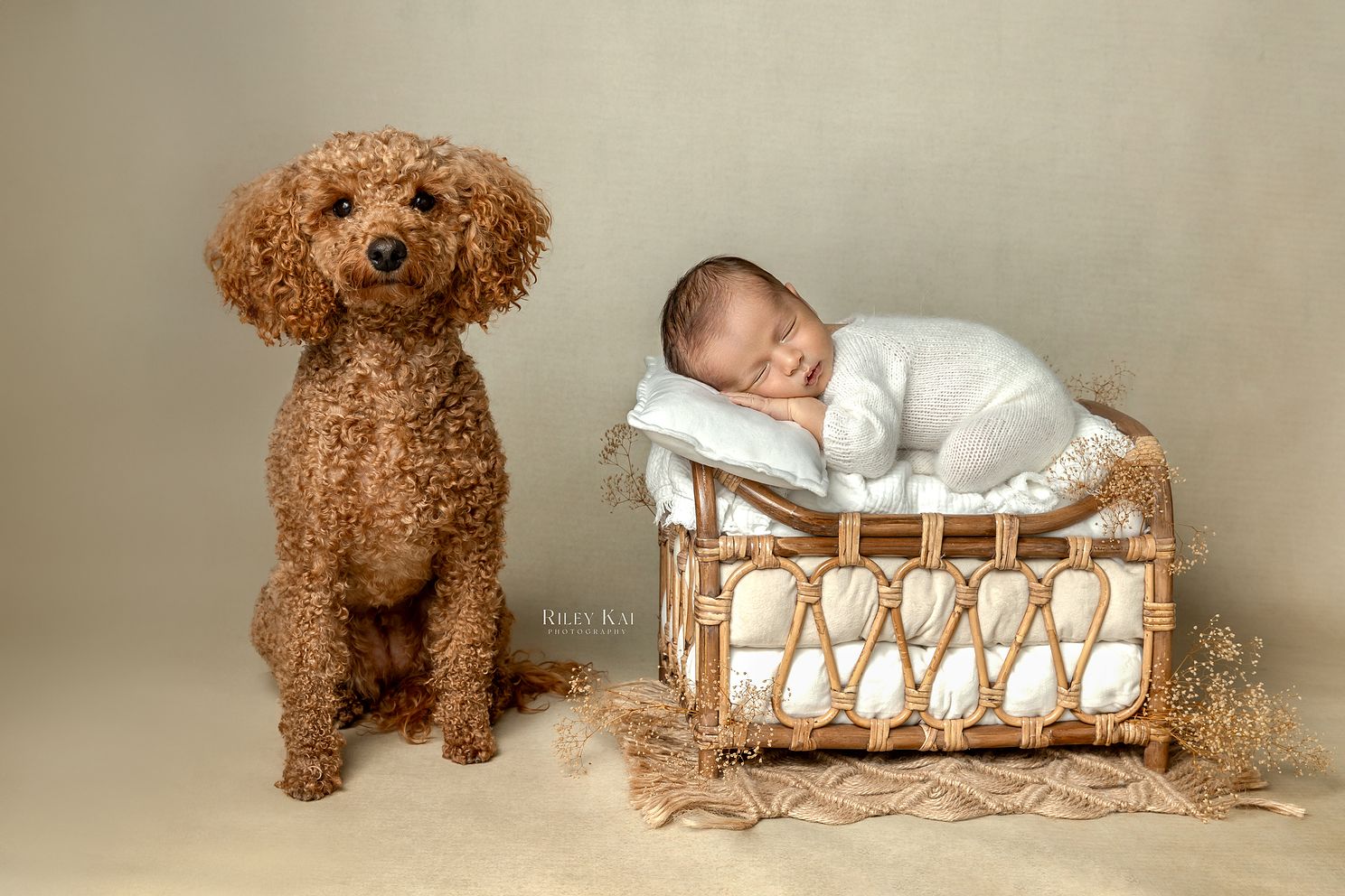 San Diego Maternity Photographer
