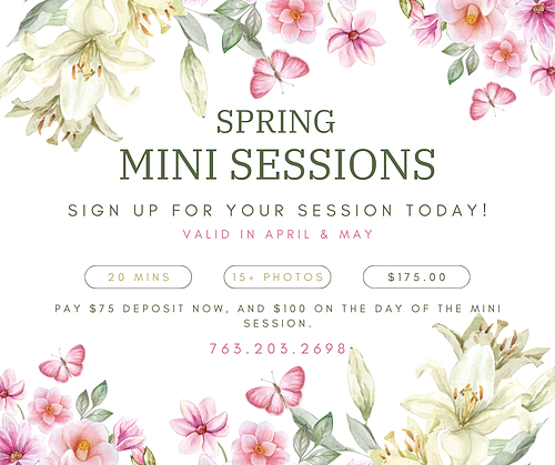 Mini Sessions (Facebook Post).png