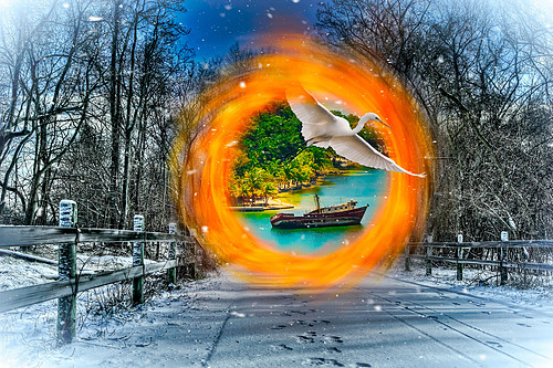 Coolcation Portal