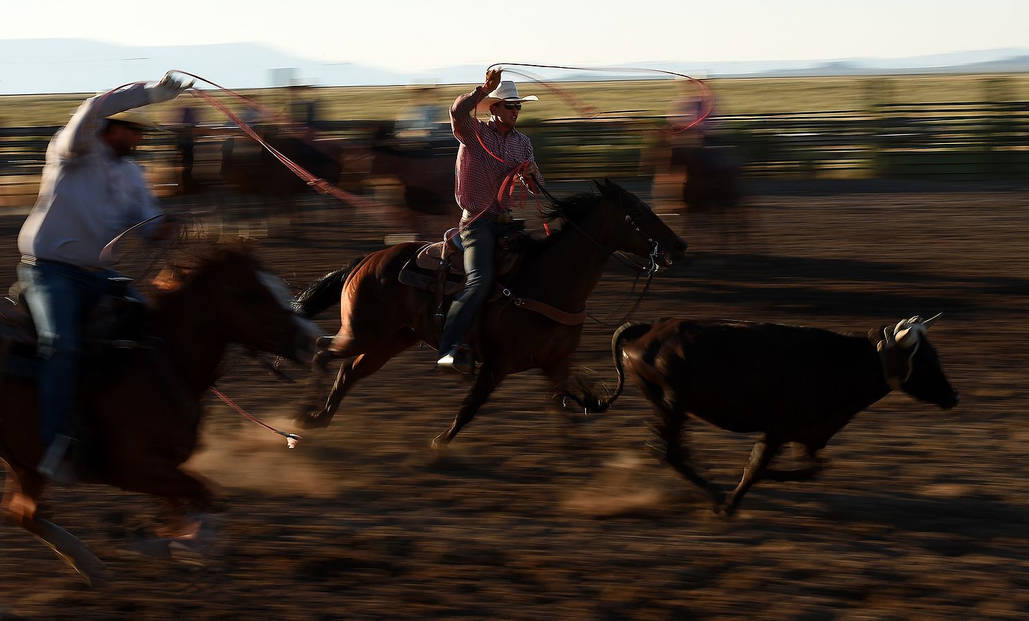 Calf Roping.jpg