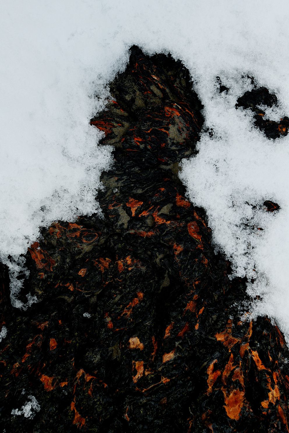D85_6085.JPG
